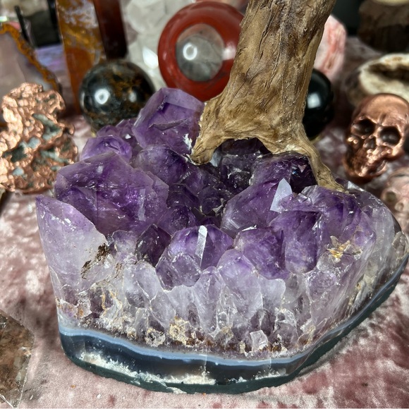 Citrine Tree๐๐๏ธ๐ RB1 - Picture 6 of 6